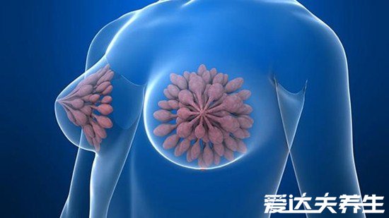 乳腺增生禁忌五种食物，含雌激素食物是万万不能再吃了