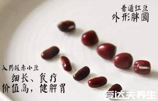 赤小豆和红豆的区别，赤小豆并不是红豆外表等3处各不相同