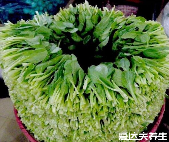 鸡毛菜是什么菜，就是小白菜的嫩苗确实好吃(图片)