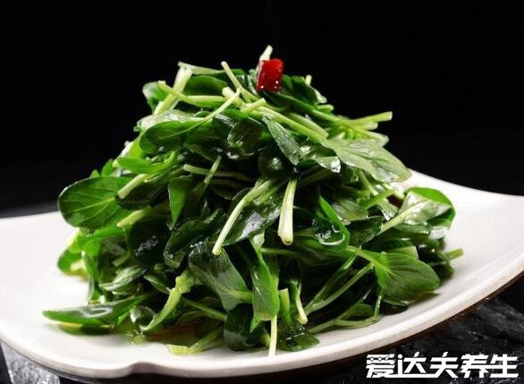 鸡毛菜是什么菜，就是小白菜的嫩苗确实好吃(图片)