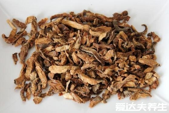 菊苣的功效与作用，能够瘦身排毒保肝利胆(图片)