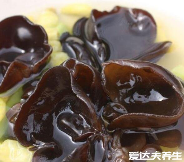 黑木耳是什么意思，食用菌黑木耳或女性生殖器