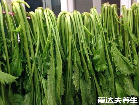 雪菜是什么菜，是芥菜的变种也叫雪里红(图片)