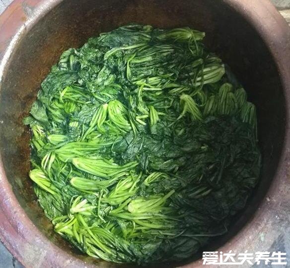 雪菜是什么菜，是芥菜的变种也叫雪里红(图片)