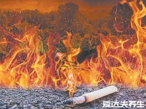 烟头中心温度可达多少度，中心温度高达800℃表面温度300℃