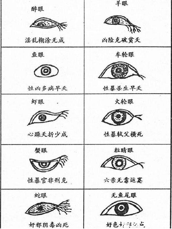 除了上述的十种眼型之外,还有十种:醉眼,羊眼,鱼眼,车轮眼,虾眼,火轮