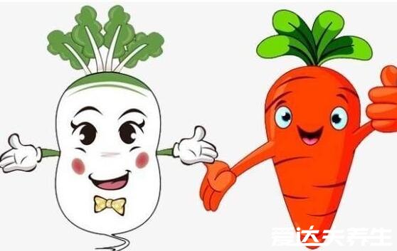 白萝卜不能和什么一起吃，10大白萝卜相克食物表(胡萝卜在其中)