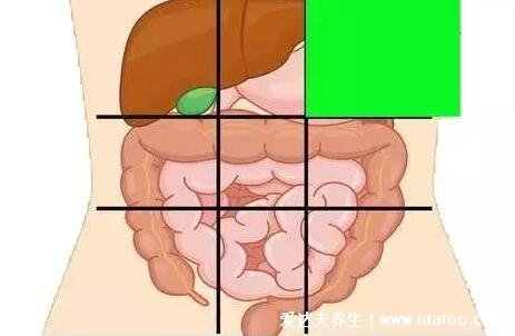 腹部疼痛示意图，各个部位疼痛病症详细图解(在家自诊)