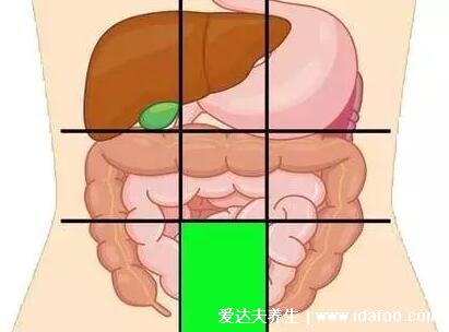 腹部疼痛示意图，各个部位疼痛病症详细图解(在家自诊)