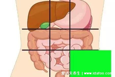 腹部疼痛示意图，各个部位疼痛病症详细图解(在家自诊)