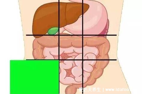 腹部疼痛示意图，各个部位疼痛病症详细图解(在家自诊)