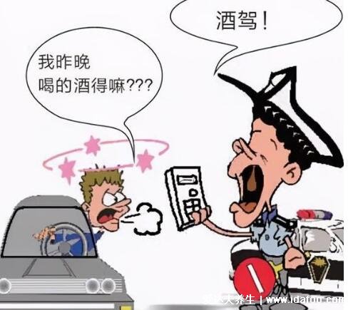 1瓶啤酒几小时吹不出来，8到10小时内不要开车