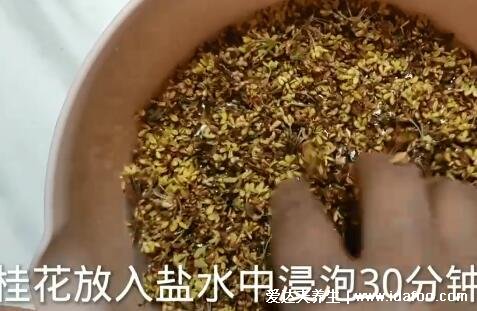 桂花蜜的做法，快看从桂花采摘后到加入蜂蜜的全部过程(附视频步骤)