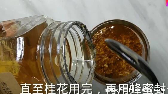 桂花蜜的做法，快看从桂花采摘后到加入蜂蜜的全部过程(附视频步骤)