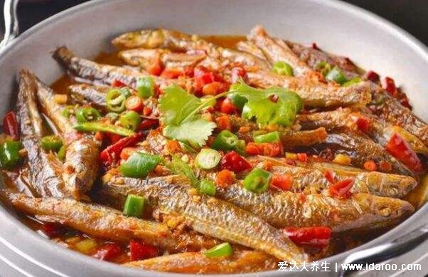 巴浪鱼为什么那么便宜，蛋白质丰富口感胜过鸡肉但产量极大