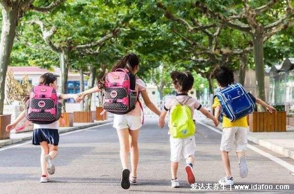 民办学校和公办学校有什么区别，在社会认可程度上不一(4点不同)