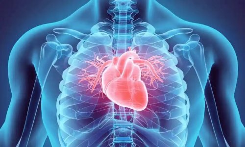 心脏健康警钟识别致命症状与及时应对策略