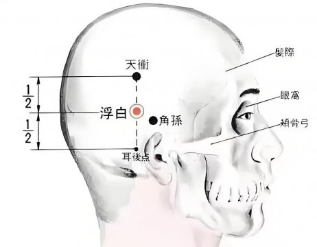 白发增多的人一定要多刮这个地方